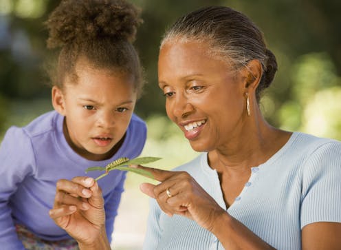 Want to teach kids about nature? Insects can help