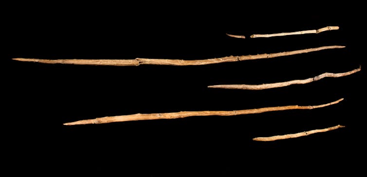 Collection of prehistoric javelins.