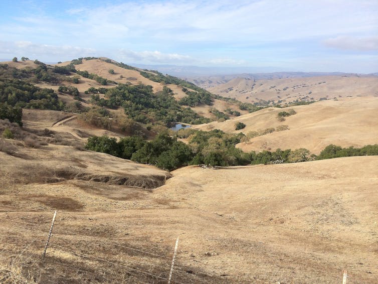 Ranch land with ponds