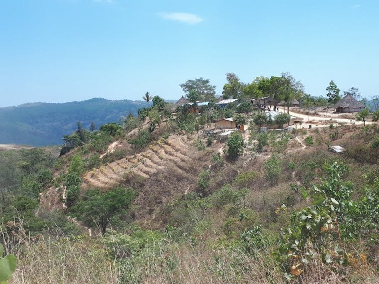 A town with a terraced hillside.