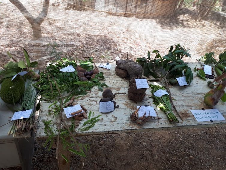 Bundles of crops on a table
