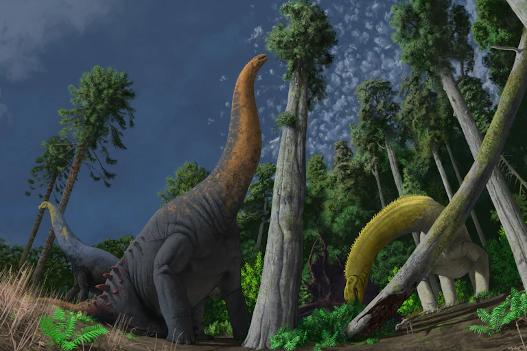 Reconstruction of three sauropod species feeding on different vegetation at Lightning Ridge.