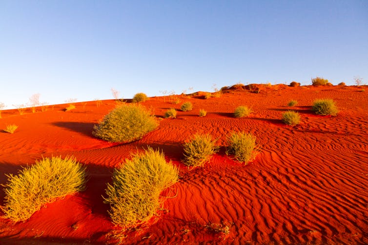 Red sand and tussocks of grass