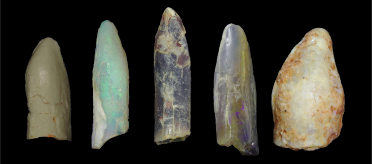 Colourful opal fossils point to a diverse group of giant dinosaurs that shared Australia's terrain