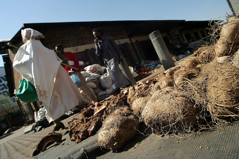 People walking in a traditional market.