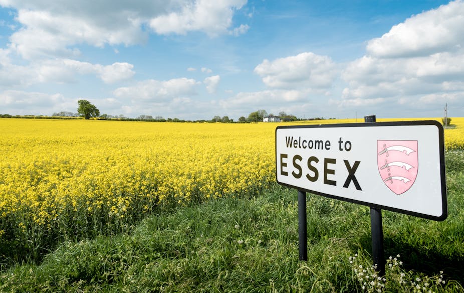 Field of yellow flowers with a sign welcoming people to Essex in foregorund.