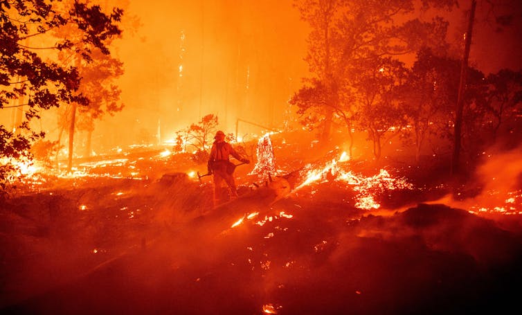 Firefighter standing in forest surrounded by fire