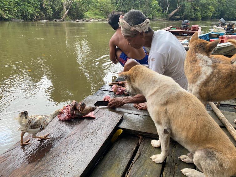 A man chops some meat beside a river as a dog and chicken eye up the meat