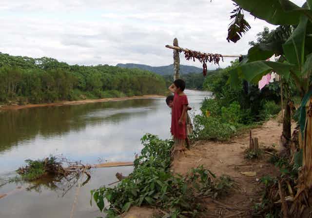Tsimane children stand on a river bluff