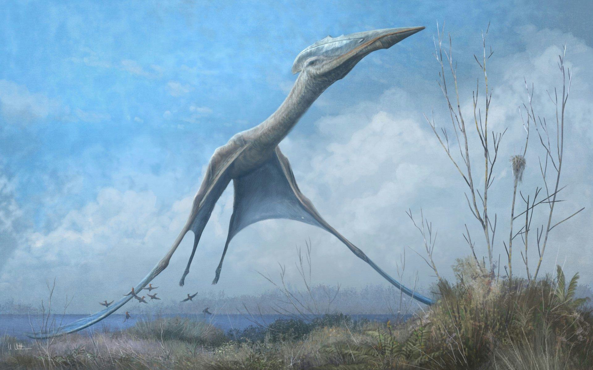 Pterosaurs Increased Their Flight Efficiency Over Time – New Evidence ...