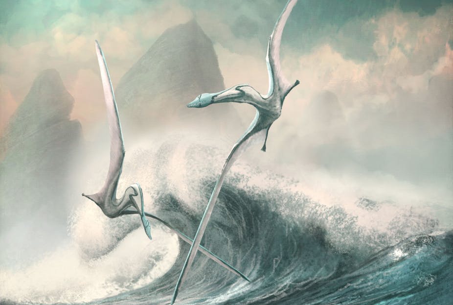 Illustration of two large pterosaurs flying over crashing waves.