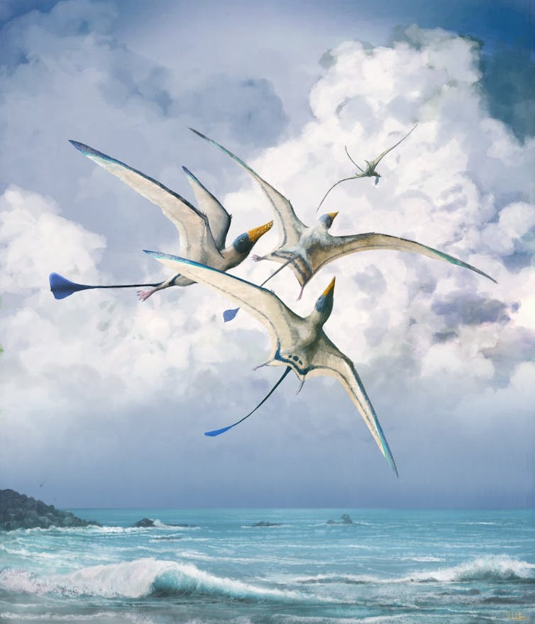 Illustration of group of pterosaurs flying over beach.
