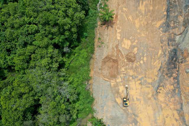 Vista aérea de un bosque, con la mitad derecha deforestada.