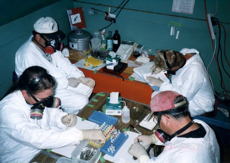 scientists studying archived specimens