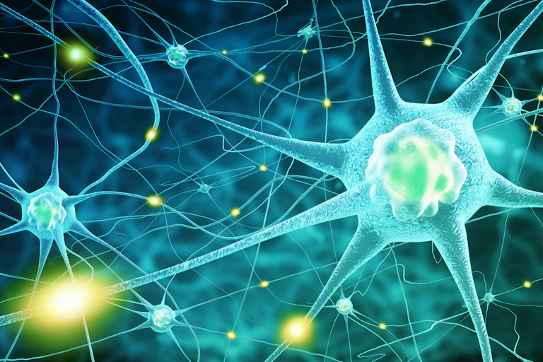Illustration of the body's nerve cells.