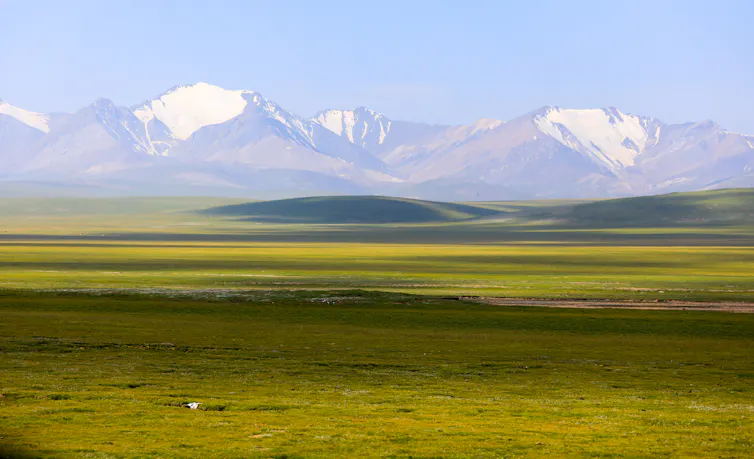 Flat grassy land with snowy mountains in the background