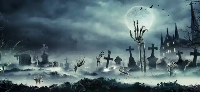 Life After Death How Insects Rise From The Dead And Transform Corpses Into Skeletons Life After Death How Insects Rise From The Dead And Transform Corpses Into Skeletons