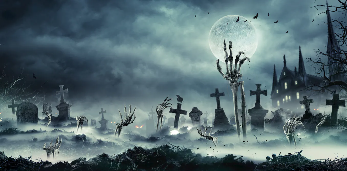 Life after death: How insects rise from the dead and transform corpses ...
