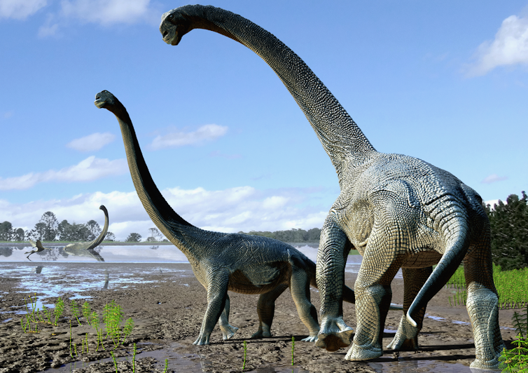 Rendering of two Savannasauruses.