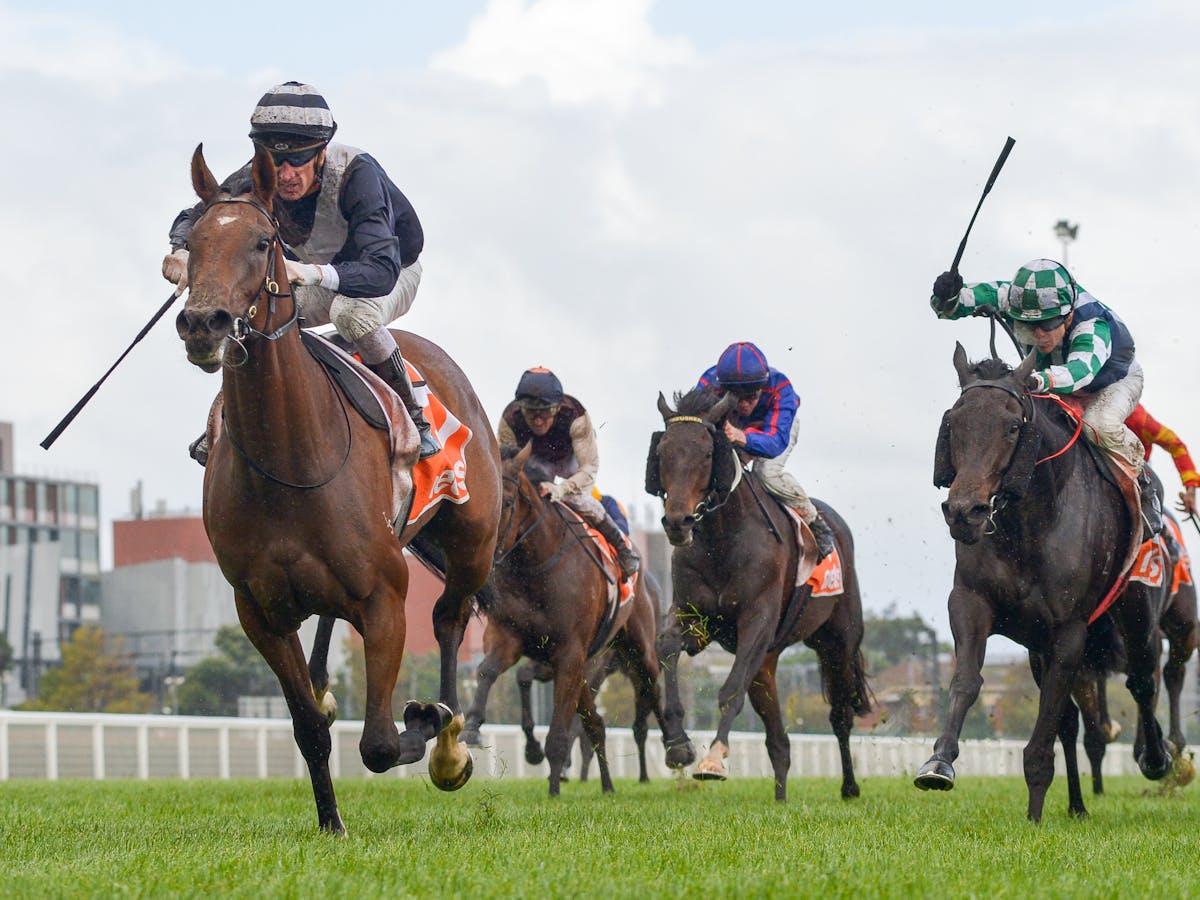 British horse racing society logo British horse racing society logo