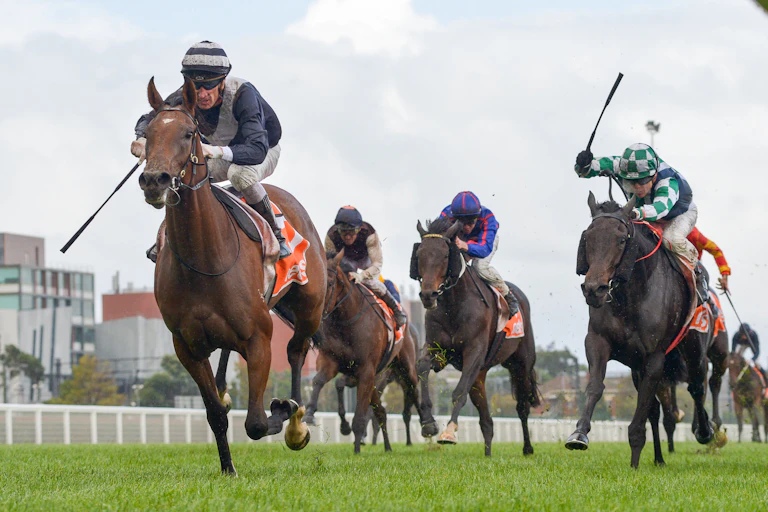 Jockeys and horses running in a race.