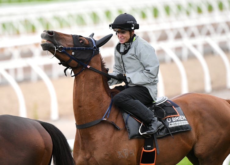 Jockeys and horses mid-race.