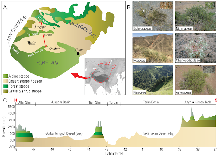 image showing a map, some plants and a cross section of some mountains and a desert