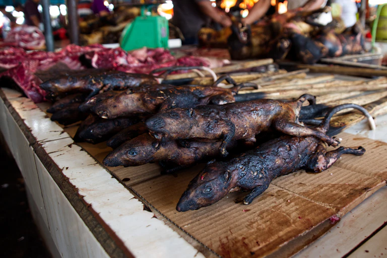 Cooked, small mammals lie on cardboard in a market.