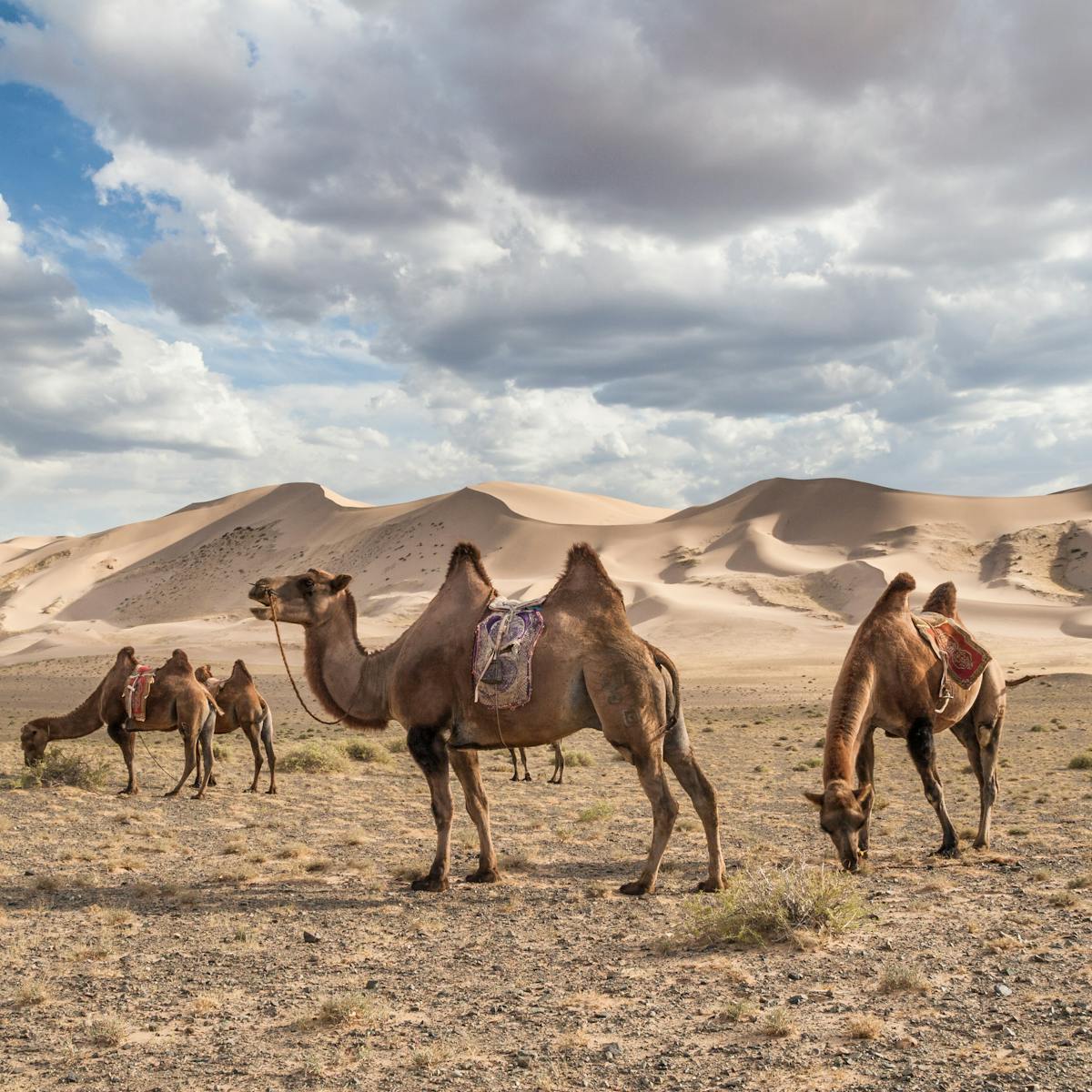Central Asia risks becoming a hyperarid desert in the near future