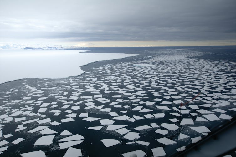 Southern Ocean, with open ocean and sea ice