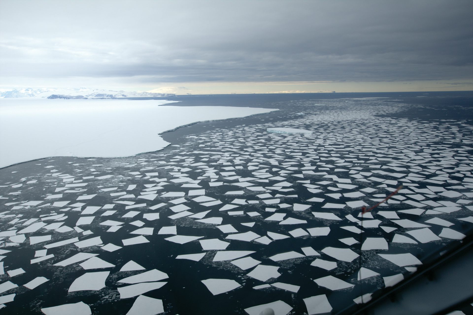 An ocean like no other: the Southern Ocean's ecological richness and 