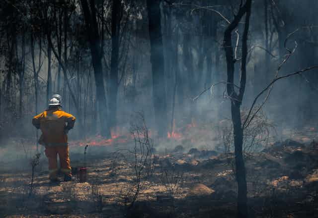 Firefighter looks over burnt blackened forest