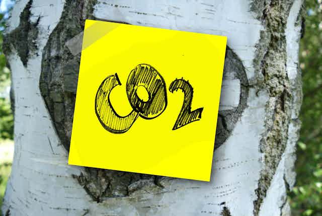 Kertas dengan tulisan CO2 ditempelkan pada batang pohon,