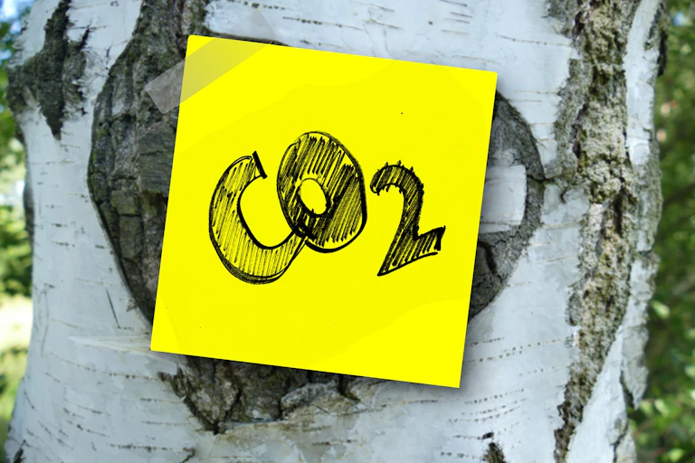 Kertas dengan tulisan CO2 ditempelkan pada batang pohon,