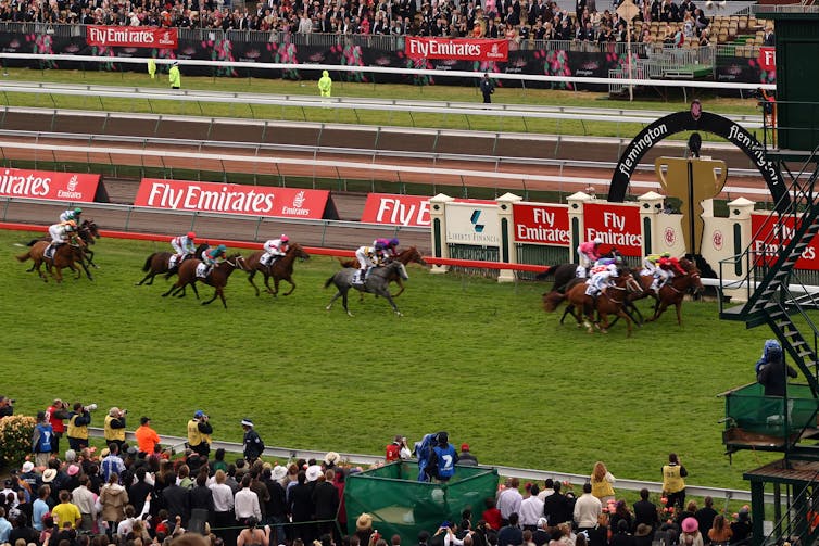 Horses racing on track.