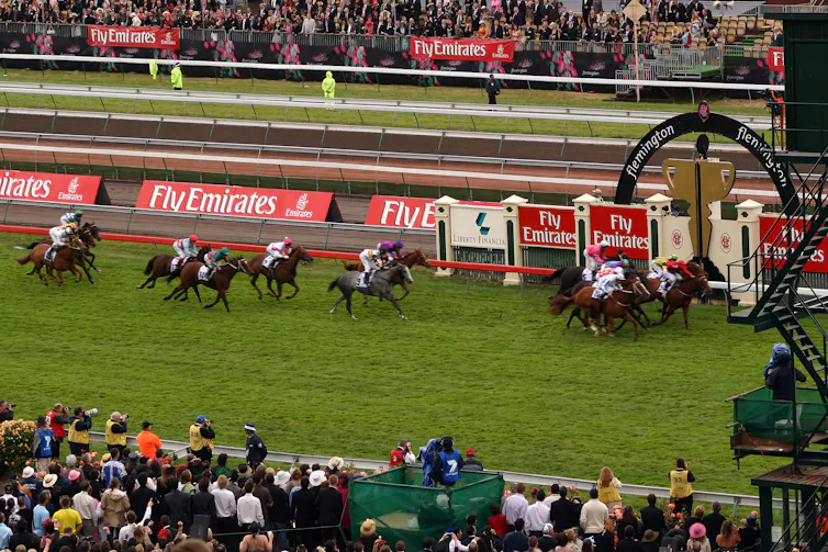 Horses racing on track.