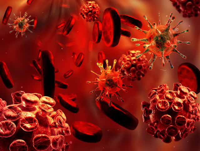 ilustración de virus y bacterias en tonalidades de rojo.