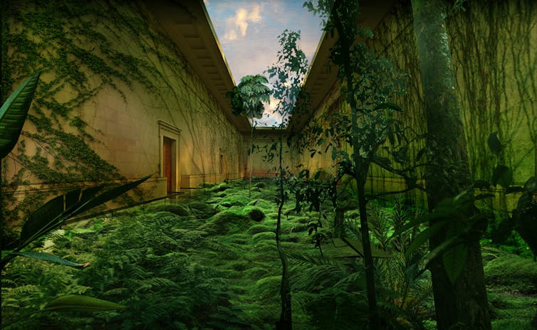 An overgrown building.