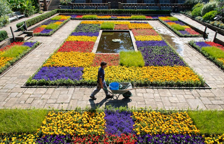 A man with a wheelbarrow in a colourful garden.
