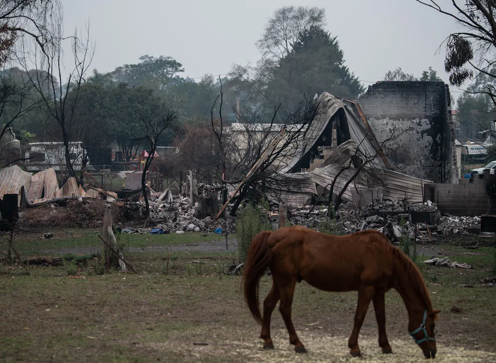 Bushfire Buildings 90% of buildings in bushfire-prone areas aren't built to survive fires ...