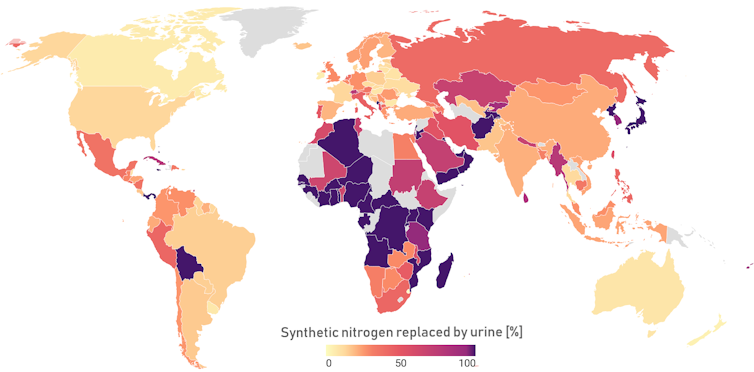 A world map highlighted to show where urine could replace more synthetic fertiliser use.