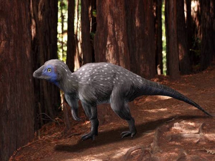 Illustration of a grey two-legged dinosaur with feathers.
