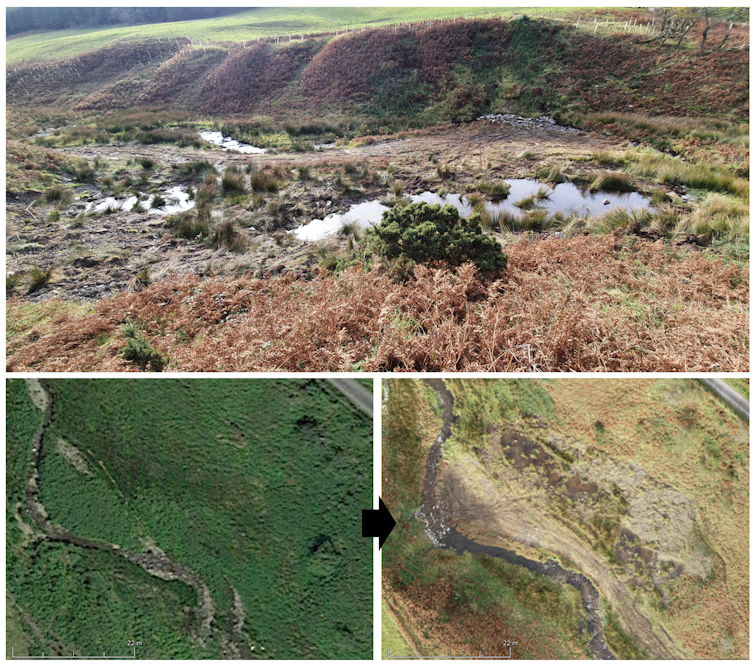 An image of a newly dug pond above before and after images of a floodplain with ponds near the main river.