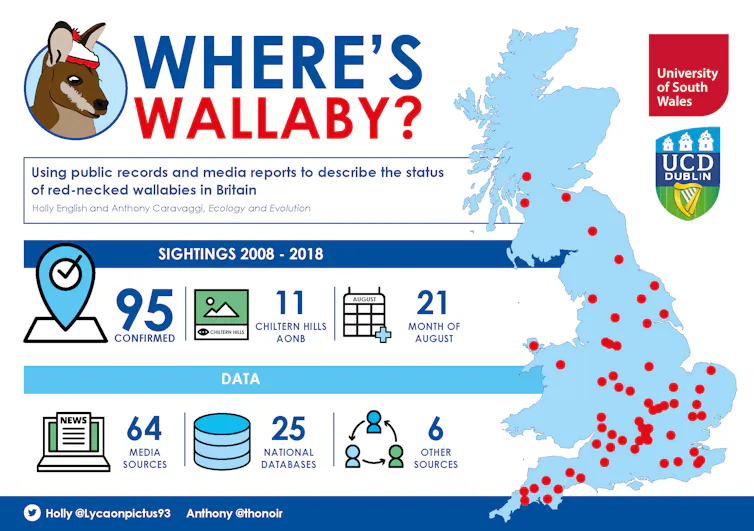 Map showing wallaby sightings in Britain, mostly in southern England.