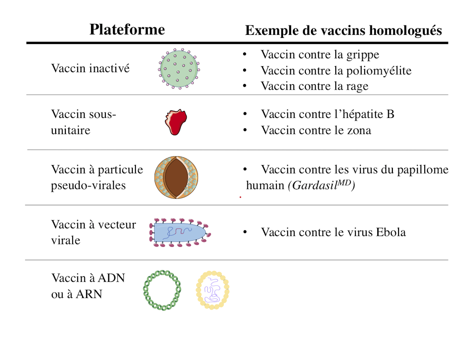 Vaccins Contre La Covid-19 : Où En Sommes-nous Au Canada