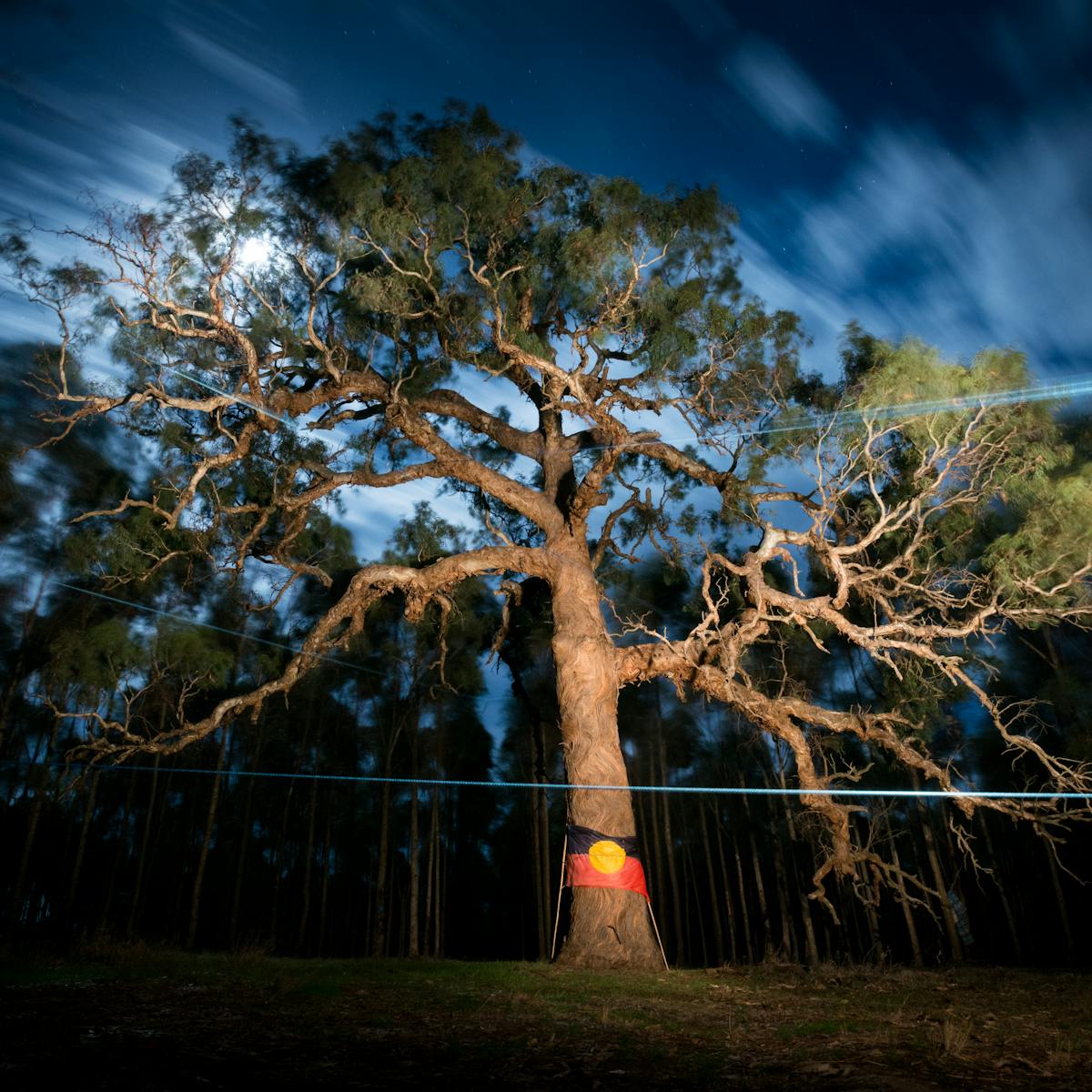 Lee cowan kerrie Kellie Cowan