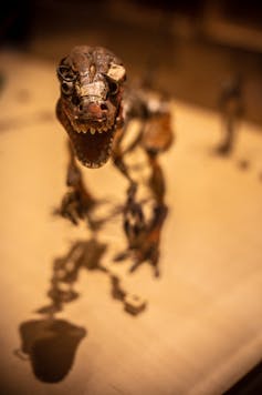 Model of a dinosaur.