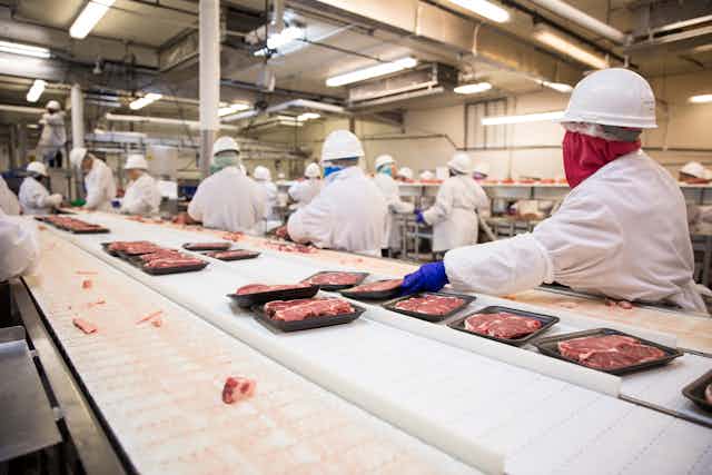 Workers on a meat processing factory line.