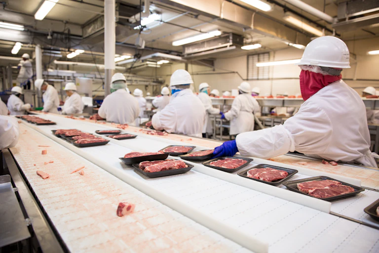 Workers on a meat processing factory line.