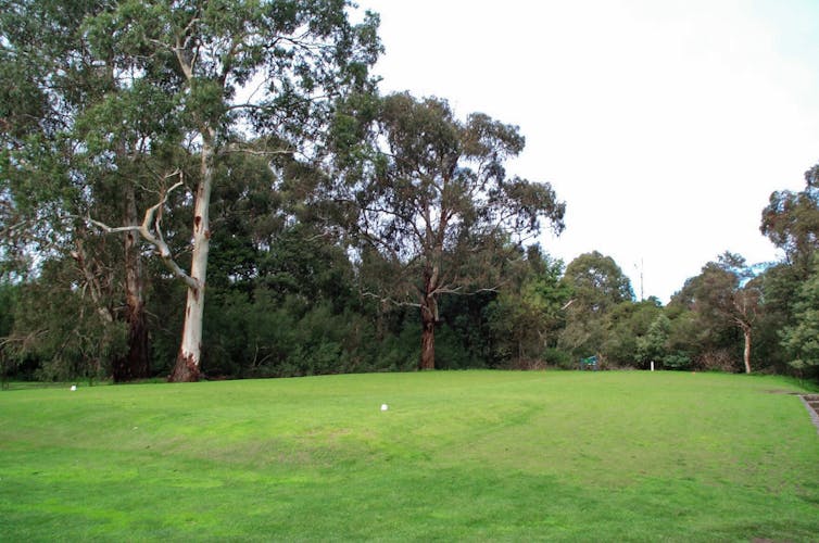 Looking from the golf tee across the fairway with trees either side.